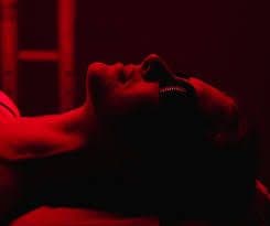 Best Red Light Therapy Panel for Home Wellness