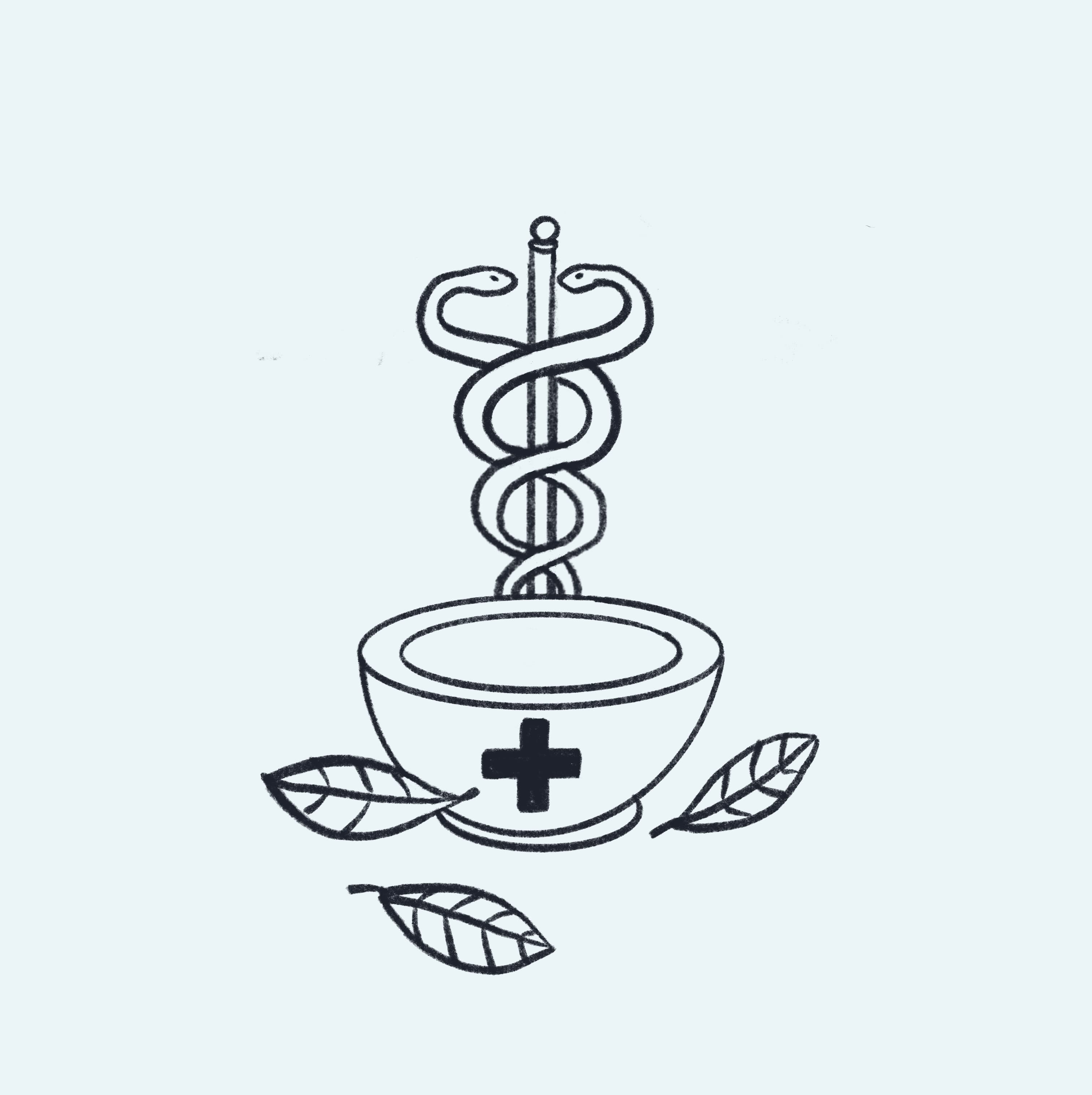 Herbal Medicine Workshop
